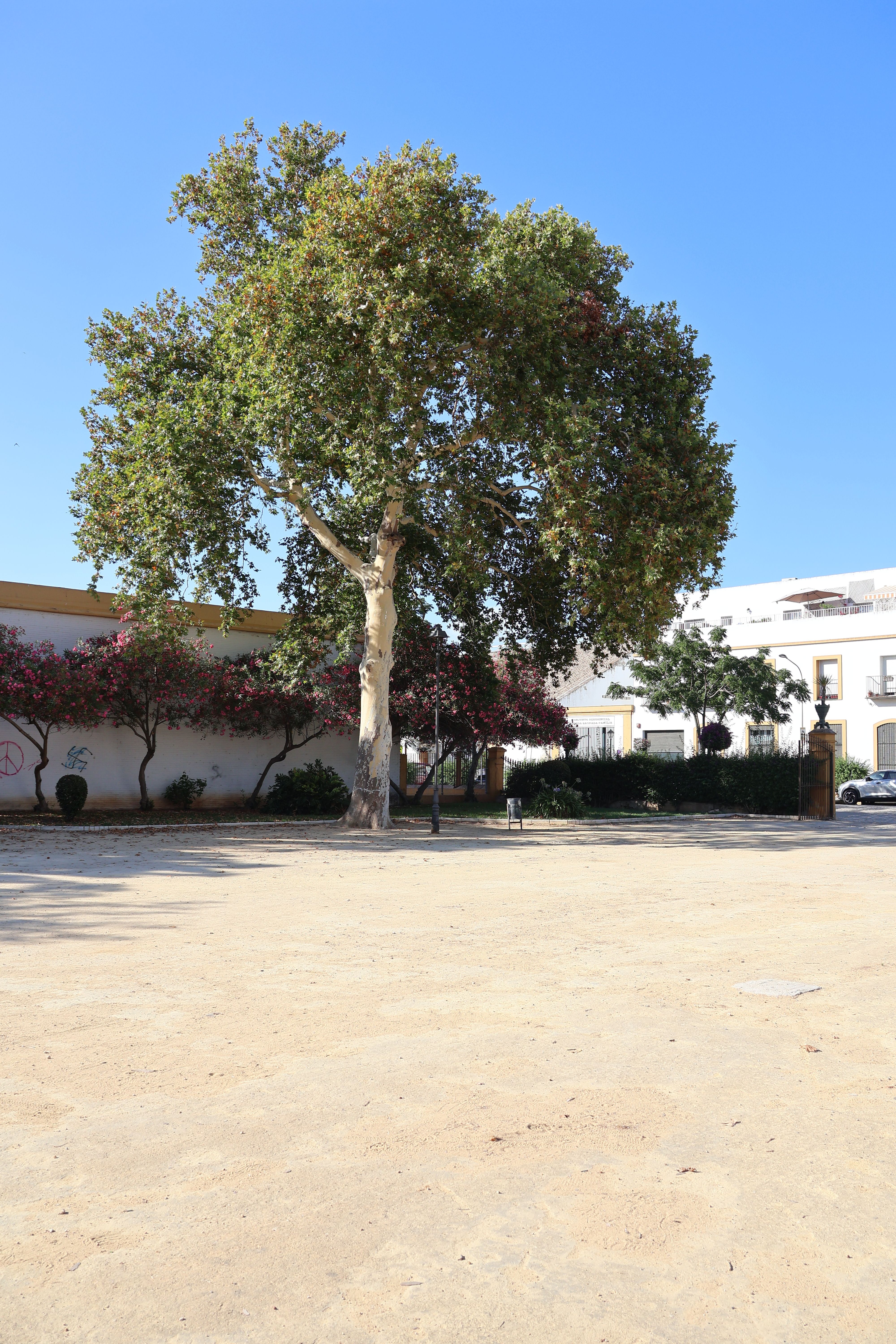 Parque Infantil de Bencatel interditado após atos de vandalismo