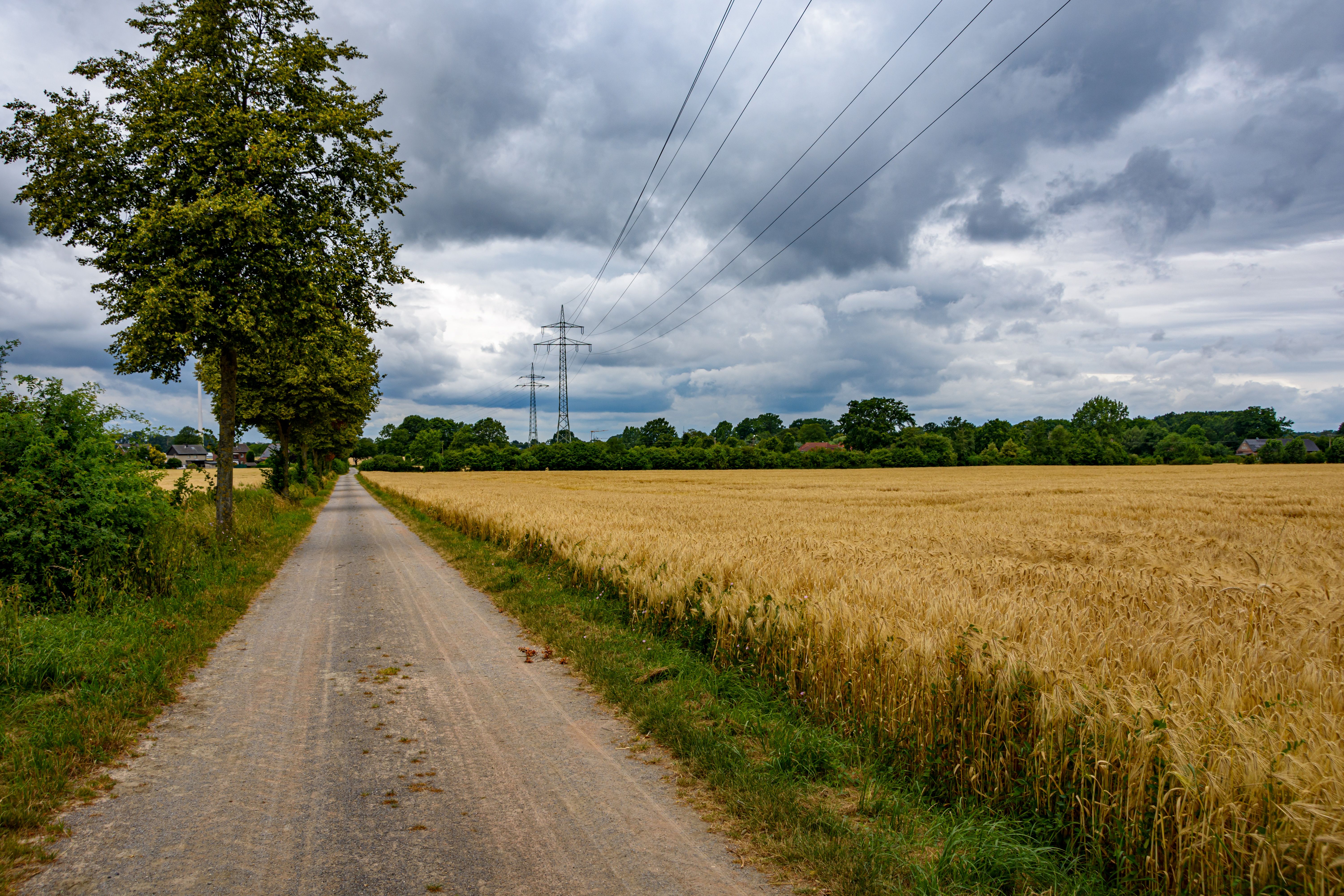4 Day Inner Evolution Master Plant Retreat in Germany 3