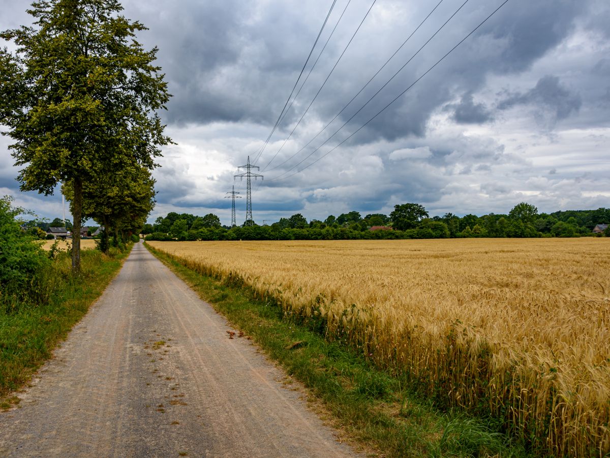 4 Day Inner Evolution Master Plant Retreat in Germany 3