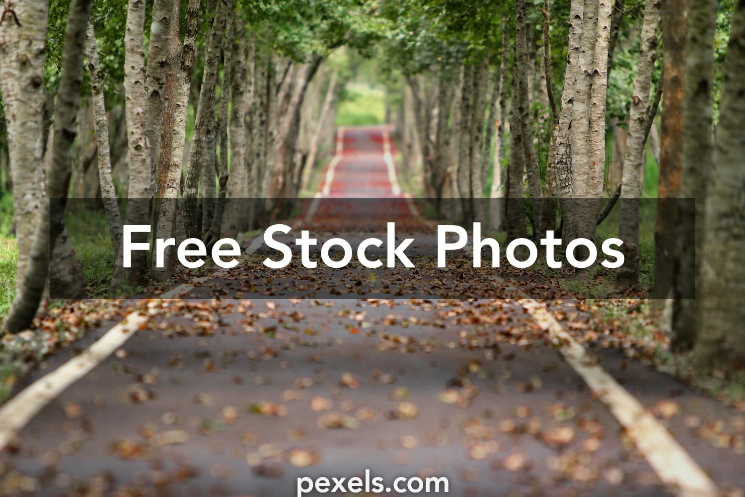 Nature Background Photos, Download Free Nature Background Stock Photos ...