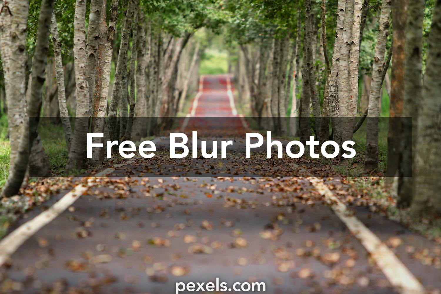Blur Images Pexels Free Stock Photos