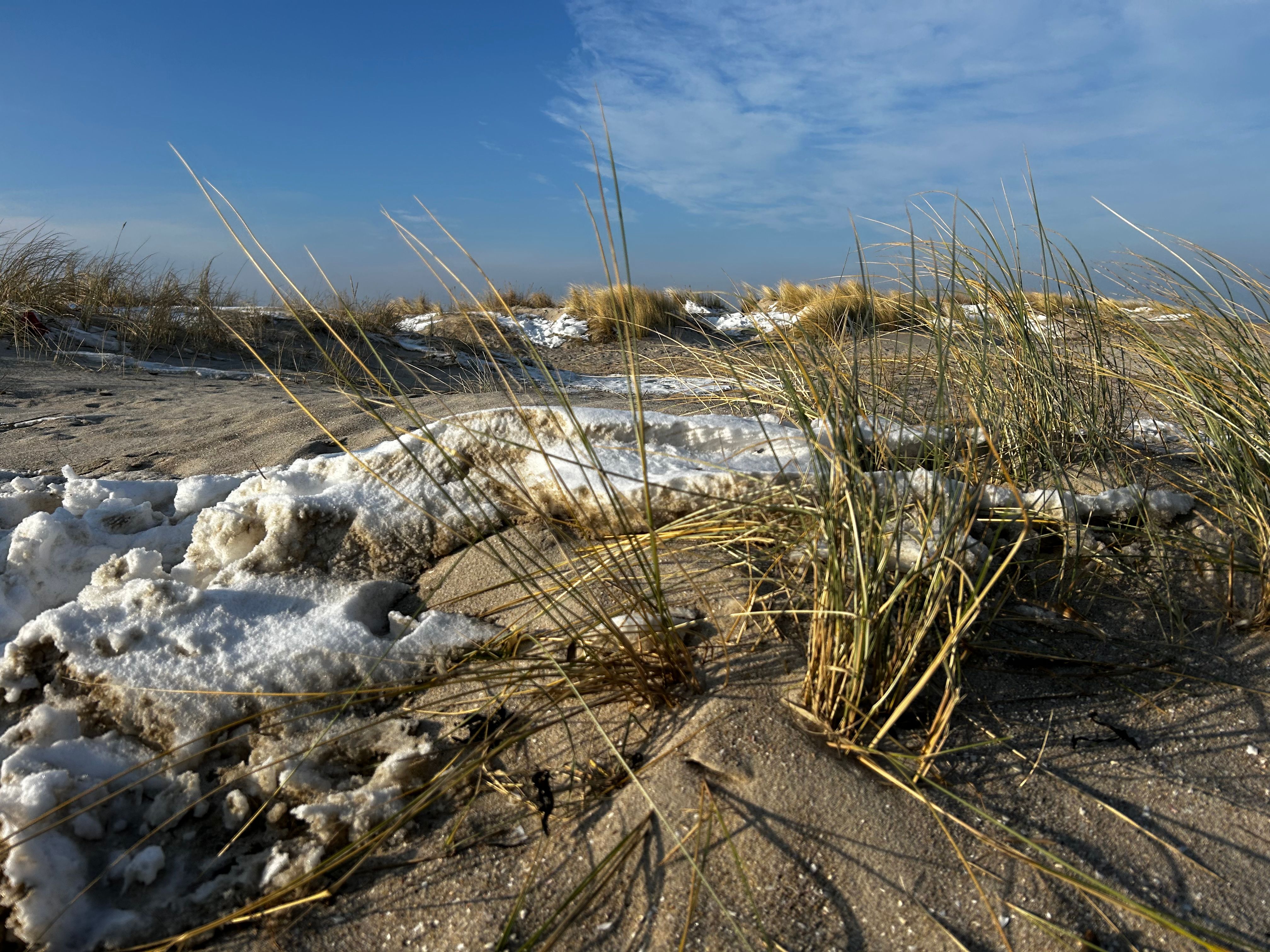 Wangerland