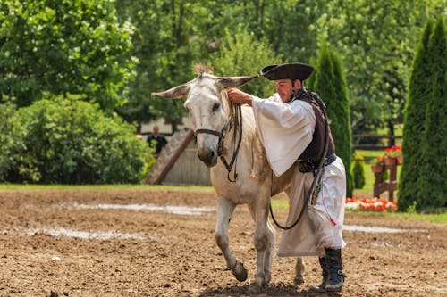 Man Holding White Horse