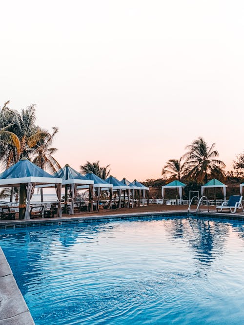 免費 寧靜的空池畔，棕櫚樹和遮陽傘在熱帶度假勝地 圖庫相片