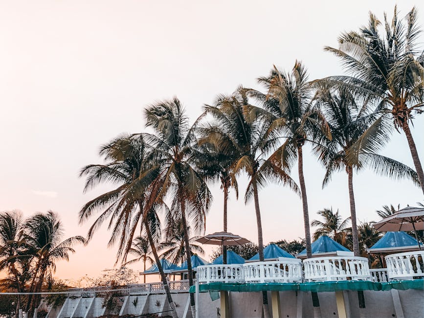 Afbeelding van tropisch resort met gezellige blauwe parasols op buitenterras te midden van exotische palmbomen tijdens schilderachtige zonsondergang