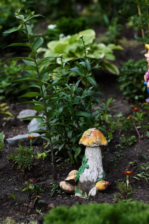 Free Charming garden with a whimsical mushroom ornament and abundant greenery. Stock Photo