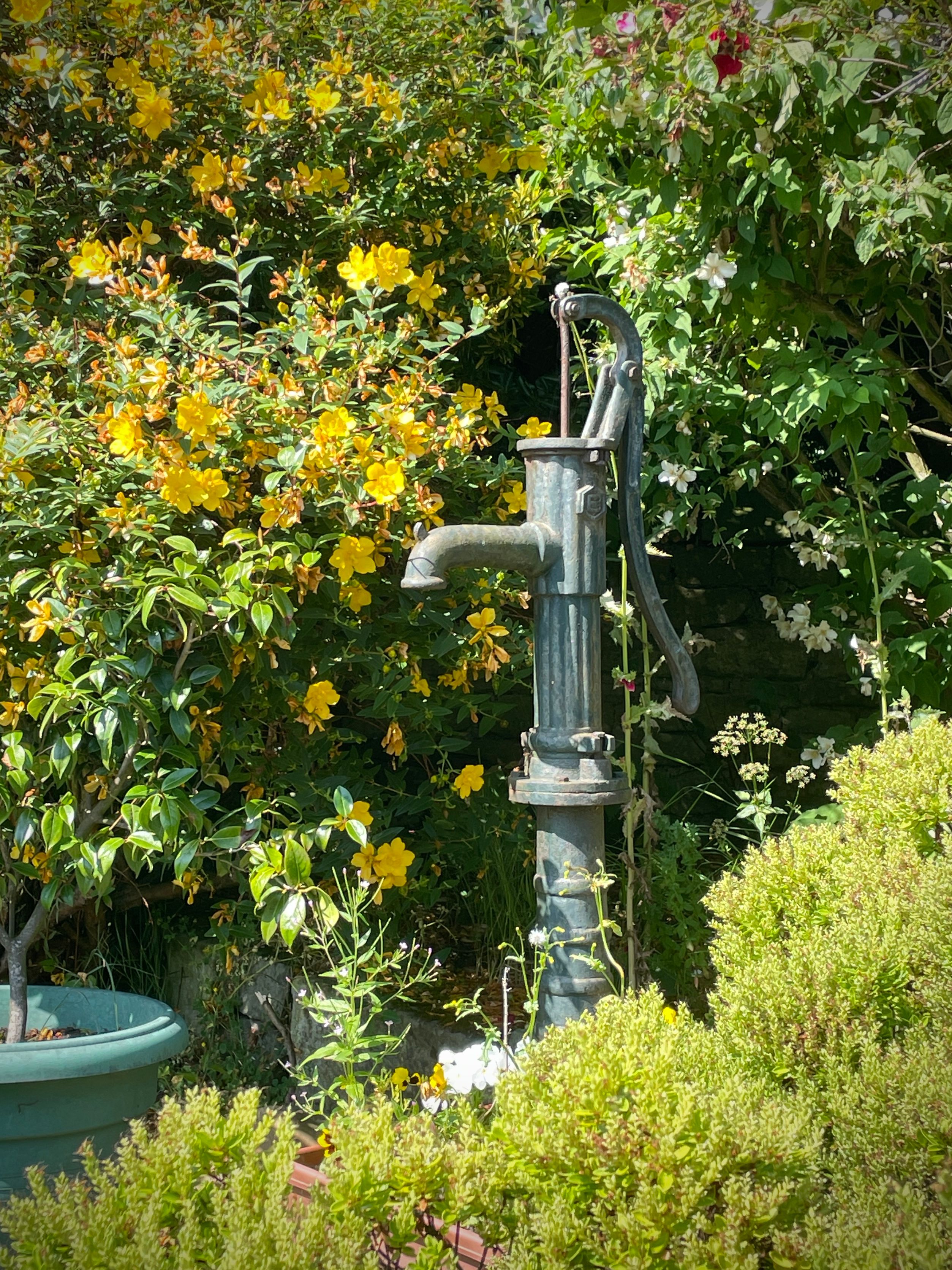 Vintage metal water pump among yellow flowers and greenery, showing work a well pump installer may service