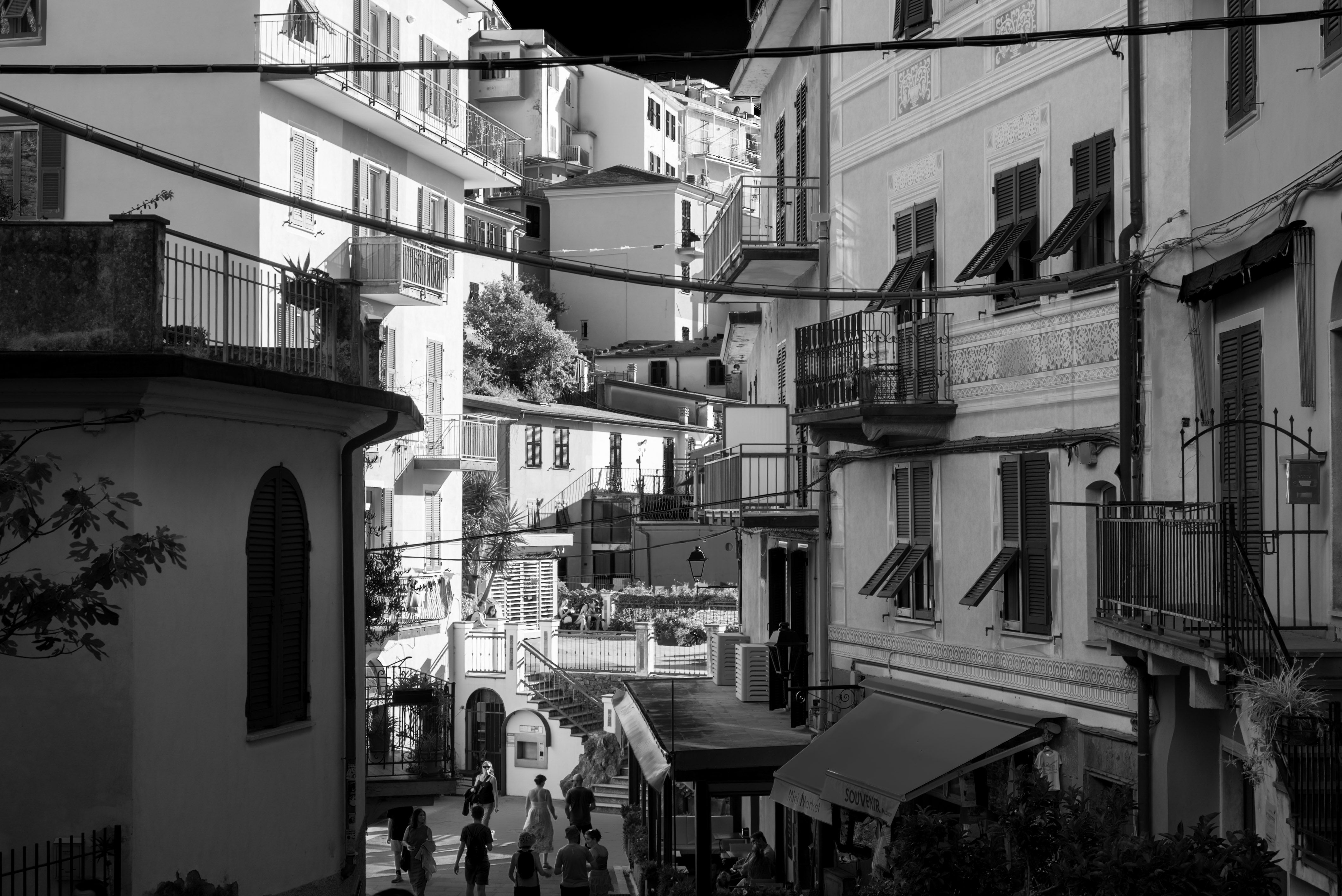 Vers de terre en pot : l’allié secret de votre intérieur