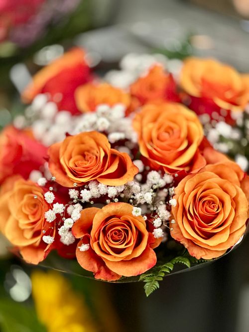 Free A bouquet of bright orange roses with white flowers and green leaves in a close-up shot. Stock Photo