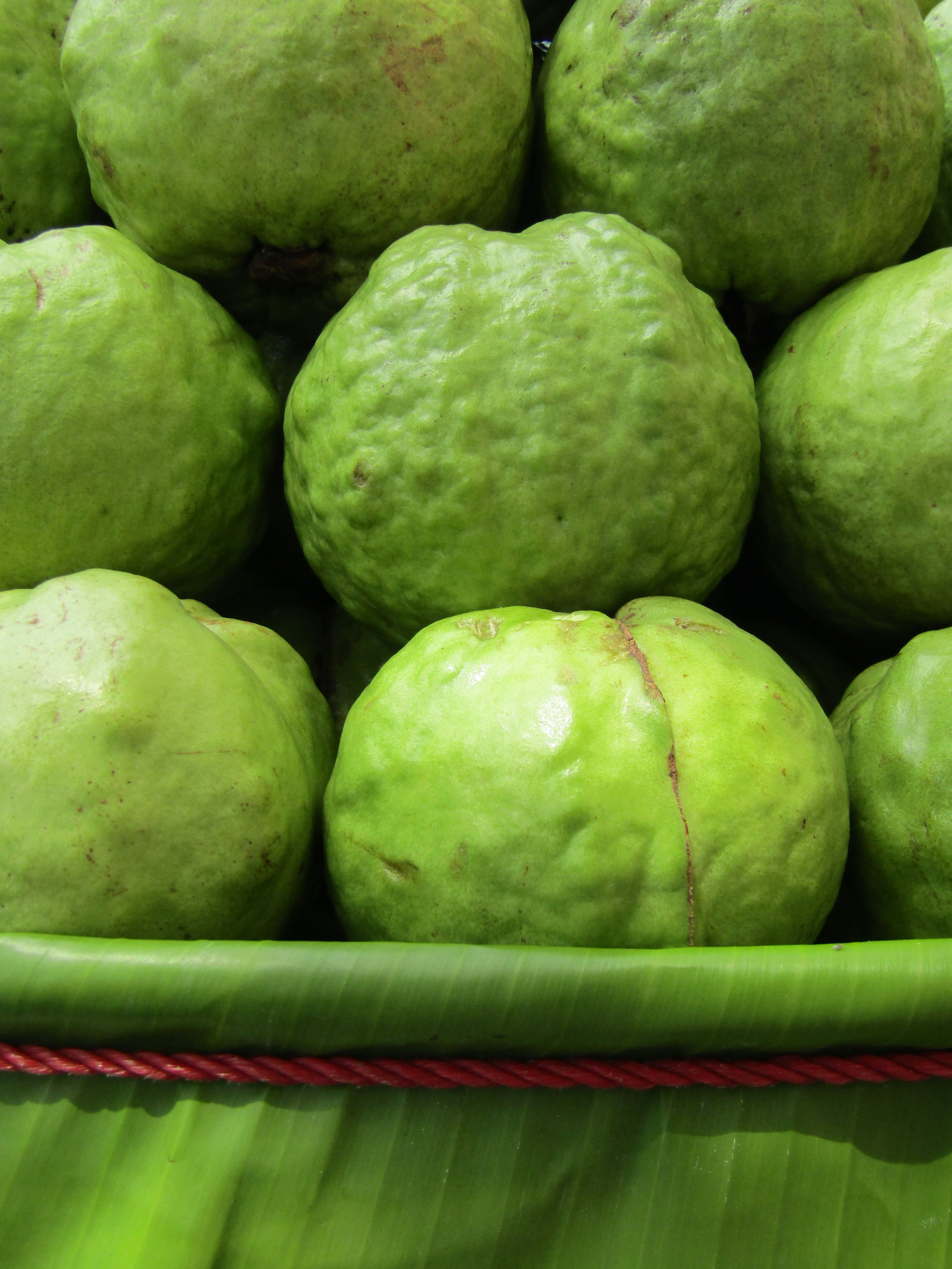 Bowl of ripe guava pieces rich in fibre and natural sugar