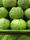 guava