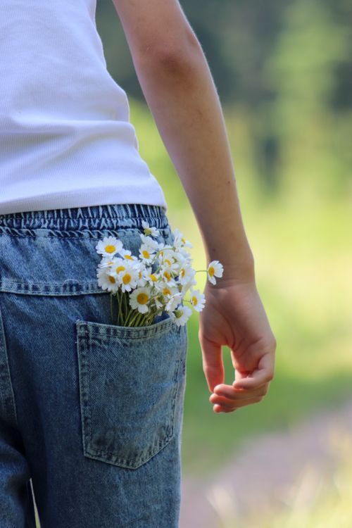 Free A person with daisy flowers tucked into their denim pocket, enjoying a summer day outdoors. Stock Photo