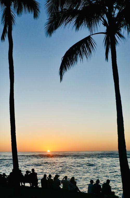 Free A serene sunset view with silhouetted palm trees and a crowd by the ocean. Stock Photo