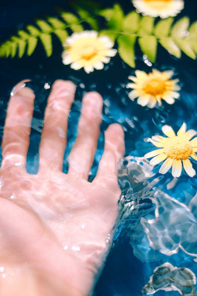 A Person's Hand Underwater