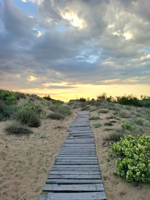 Free Wooden pathway through the sand dunes under a dramatic sunset sky in Bulgaria. Serene and picturesque scene. Stock Photo