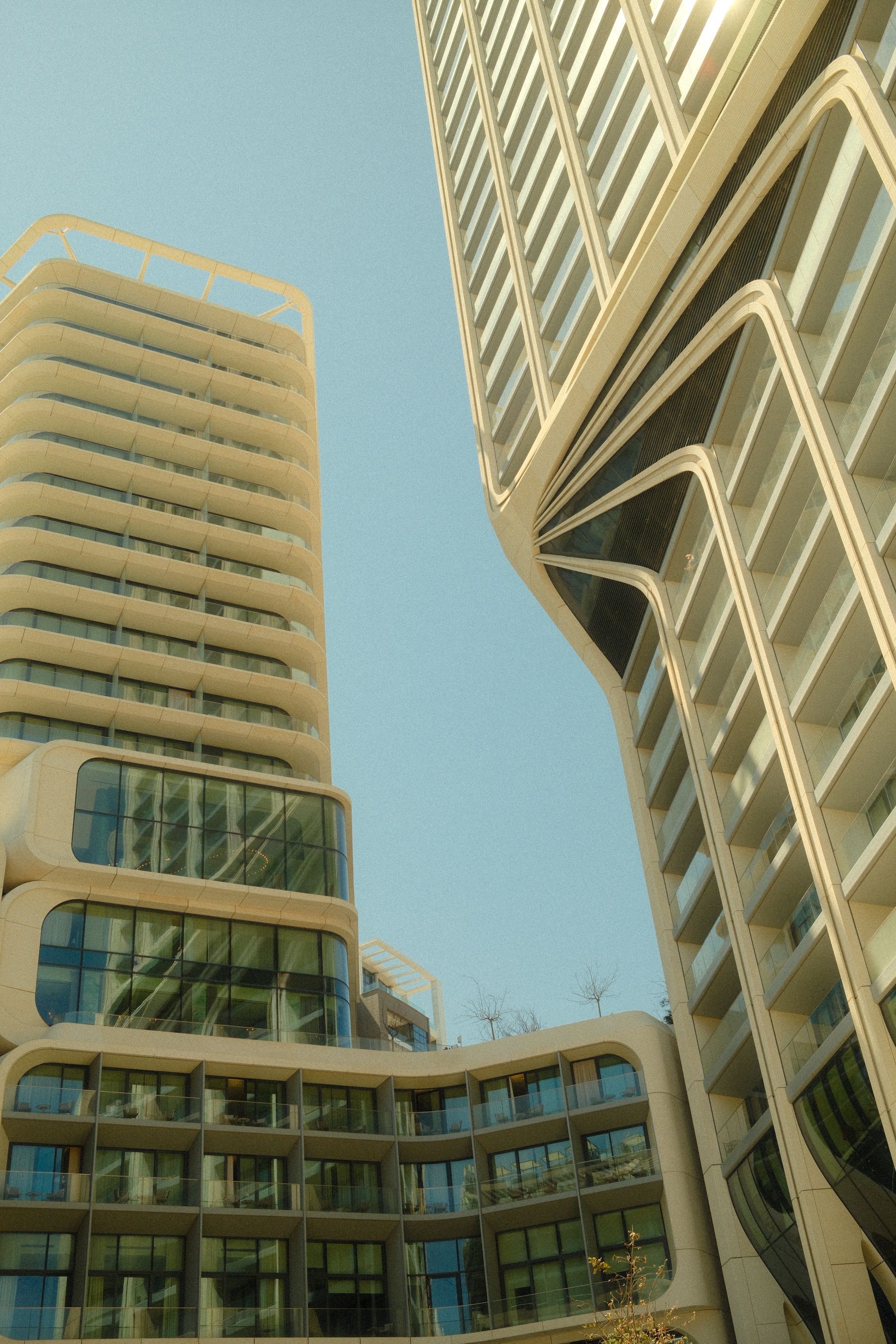 Sales, Leasing & Management