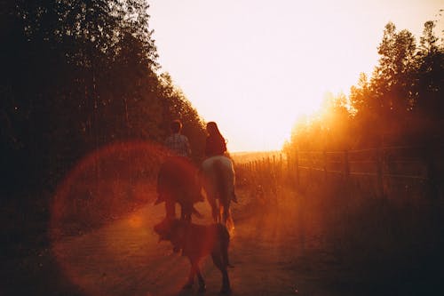 People Riding Horses on Road