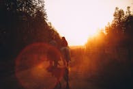 日出时分，两人一狗骑马漫步在小路上，营造出宁静温馨的乡村景象