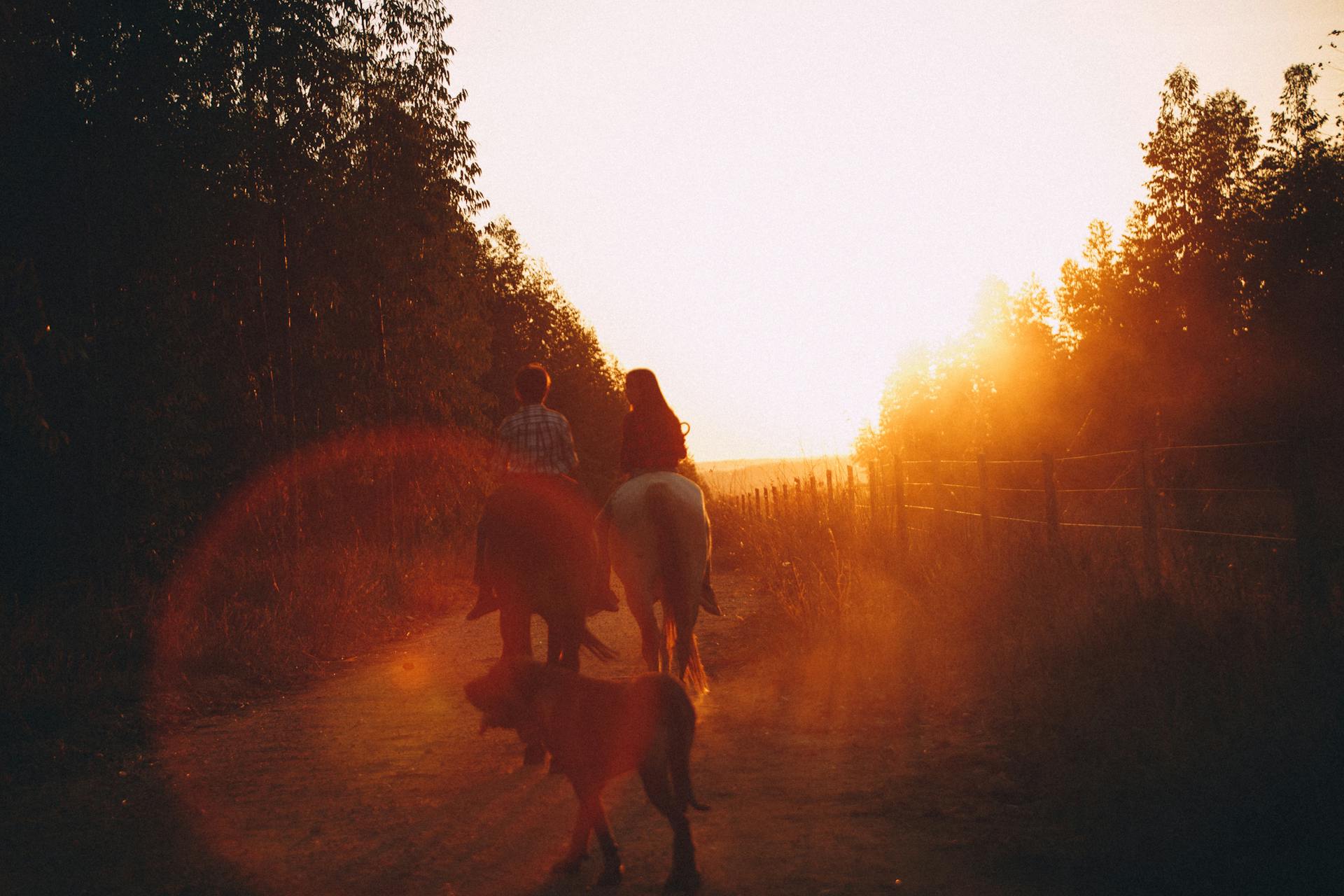 People Riding Horses on Road