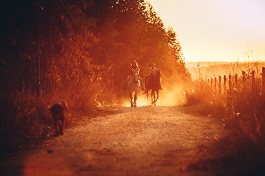 Distant full body faceless children riding horses along narrow rural pathway and trees during sunset time