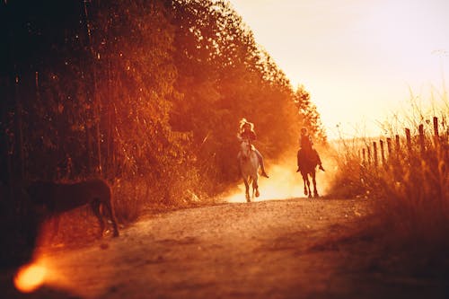People Riding Horseback During Sunset