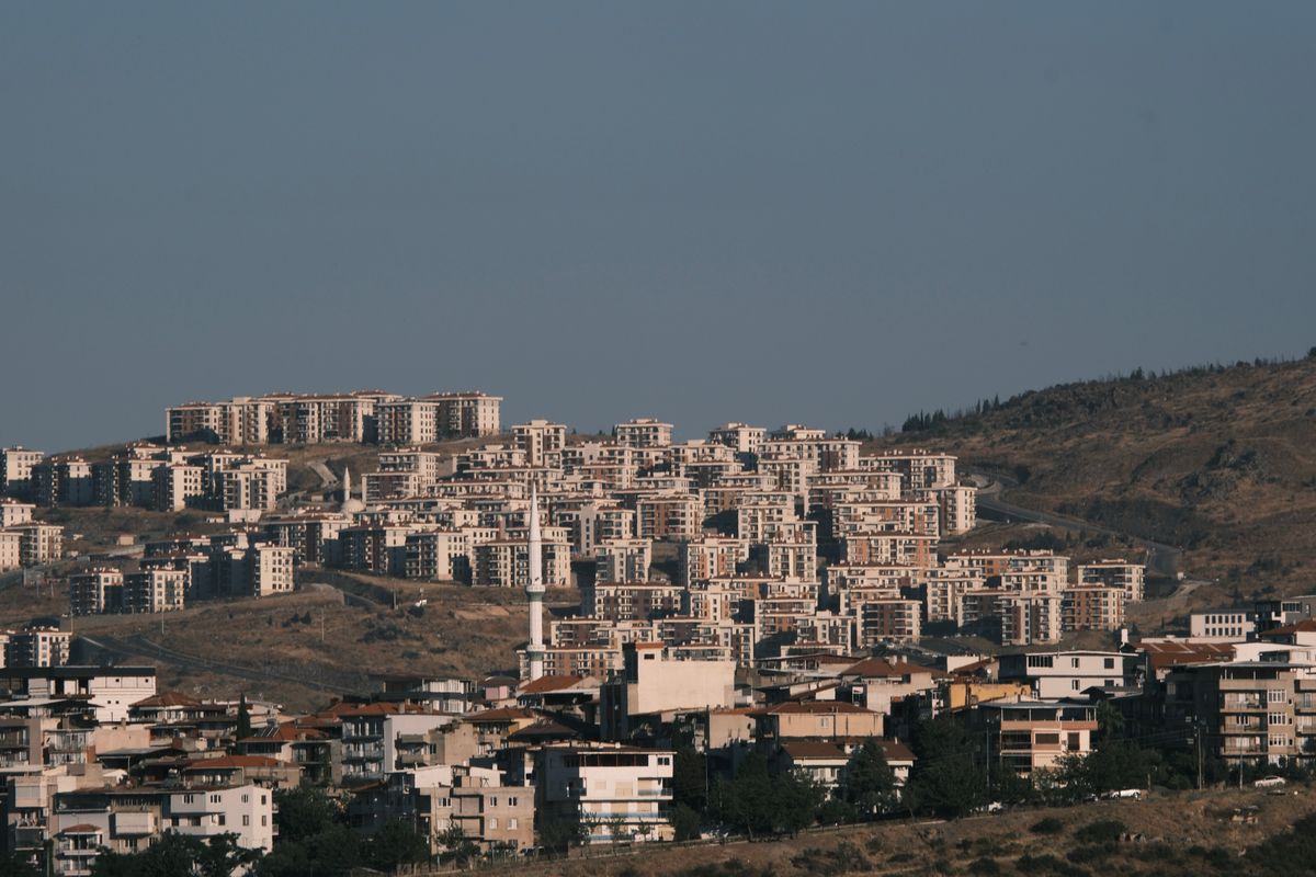 flat moves in South Zeal — Flat Moves in South Zeal — the working end of the job