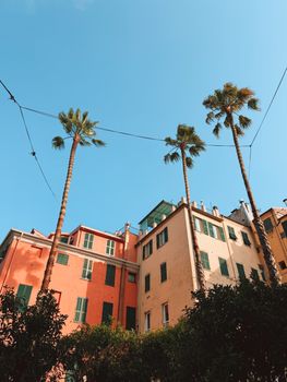Vibrant Mediterranean buildings with tall palm trees against a clear blue sky.