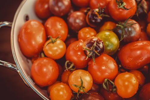 Free Close-up of assorted fresh tomatoes in a colander with water droplets. Stock Photo
