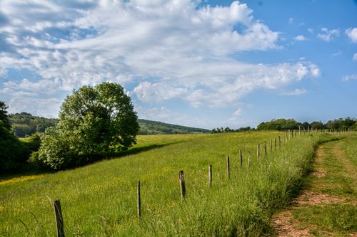 Free A picturesque view of a rural field in France with a path, trees, and blue sky. Stock Photo
