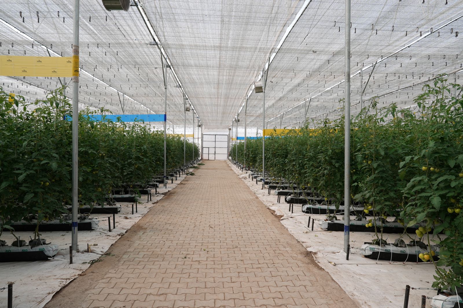 Where mountain apples meet modern grading