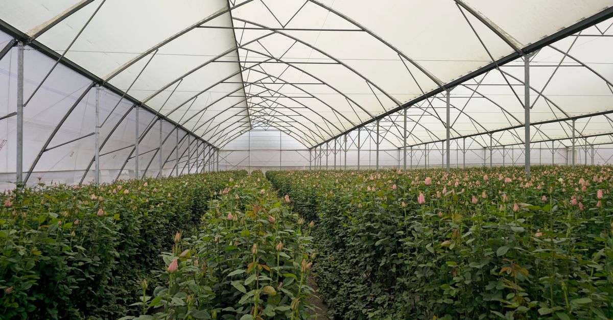 Agritech's Evolution: From Hardware Dominance to Software-Driven Intelligence