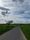 lonely road