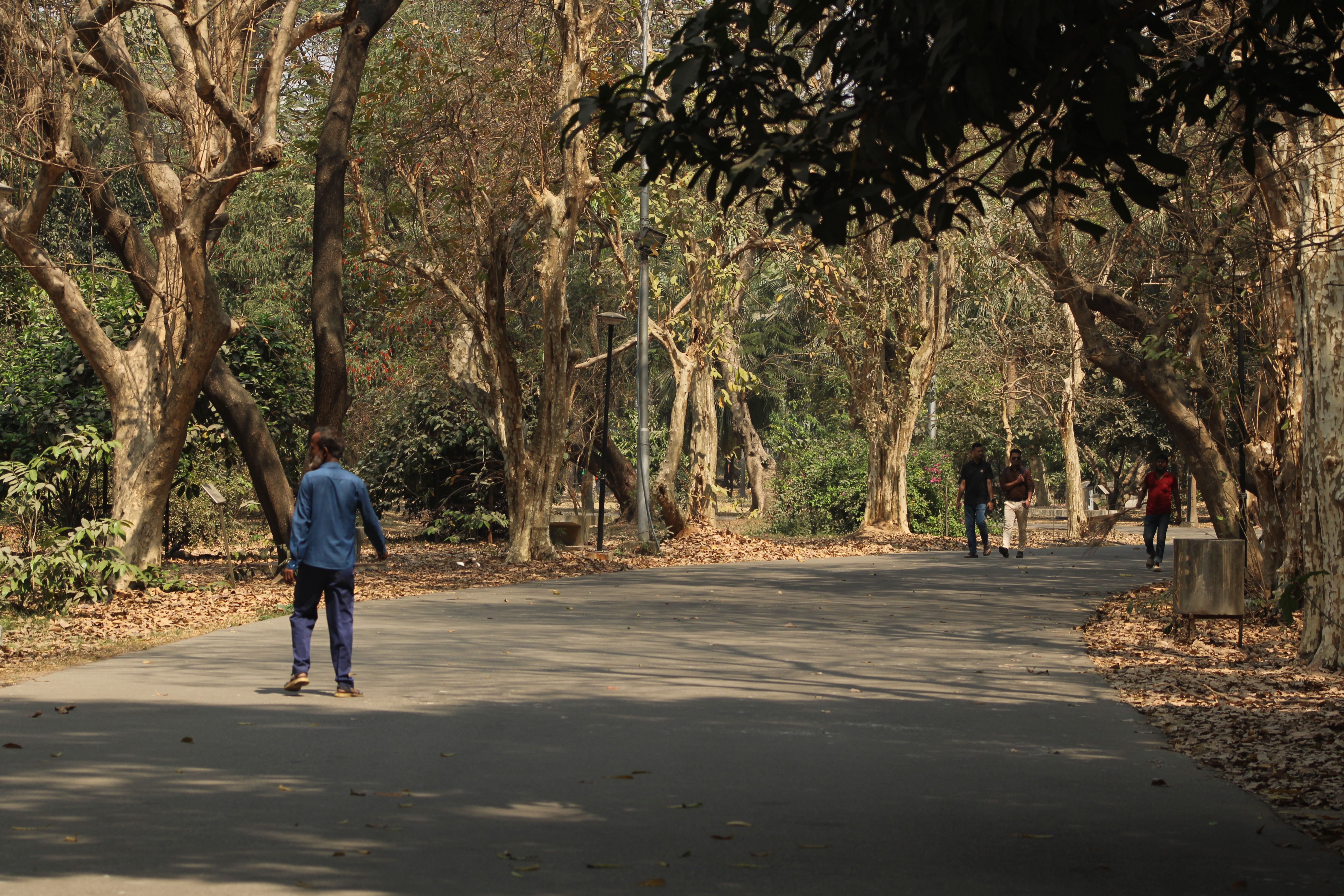 Wide tree-lined Shanti Path in Chanakyapuri with embassy compounds and empty pavements