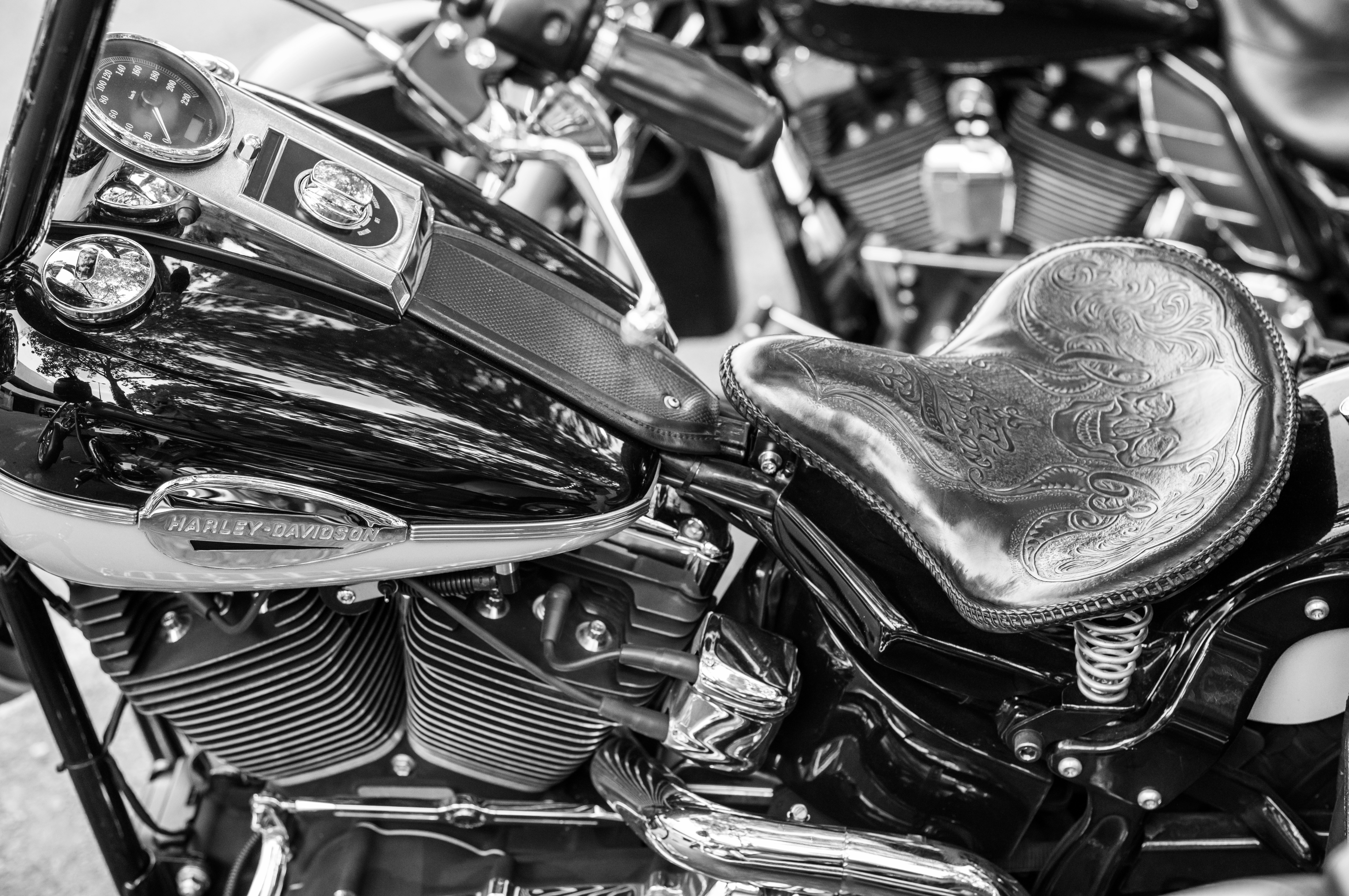 Close-up black and white photo of a Harley-Davidson motorcycle emphasizing its vintage design.