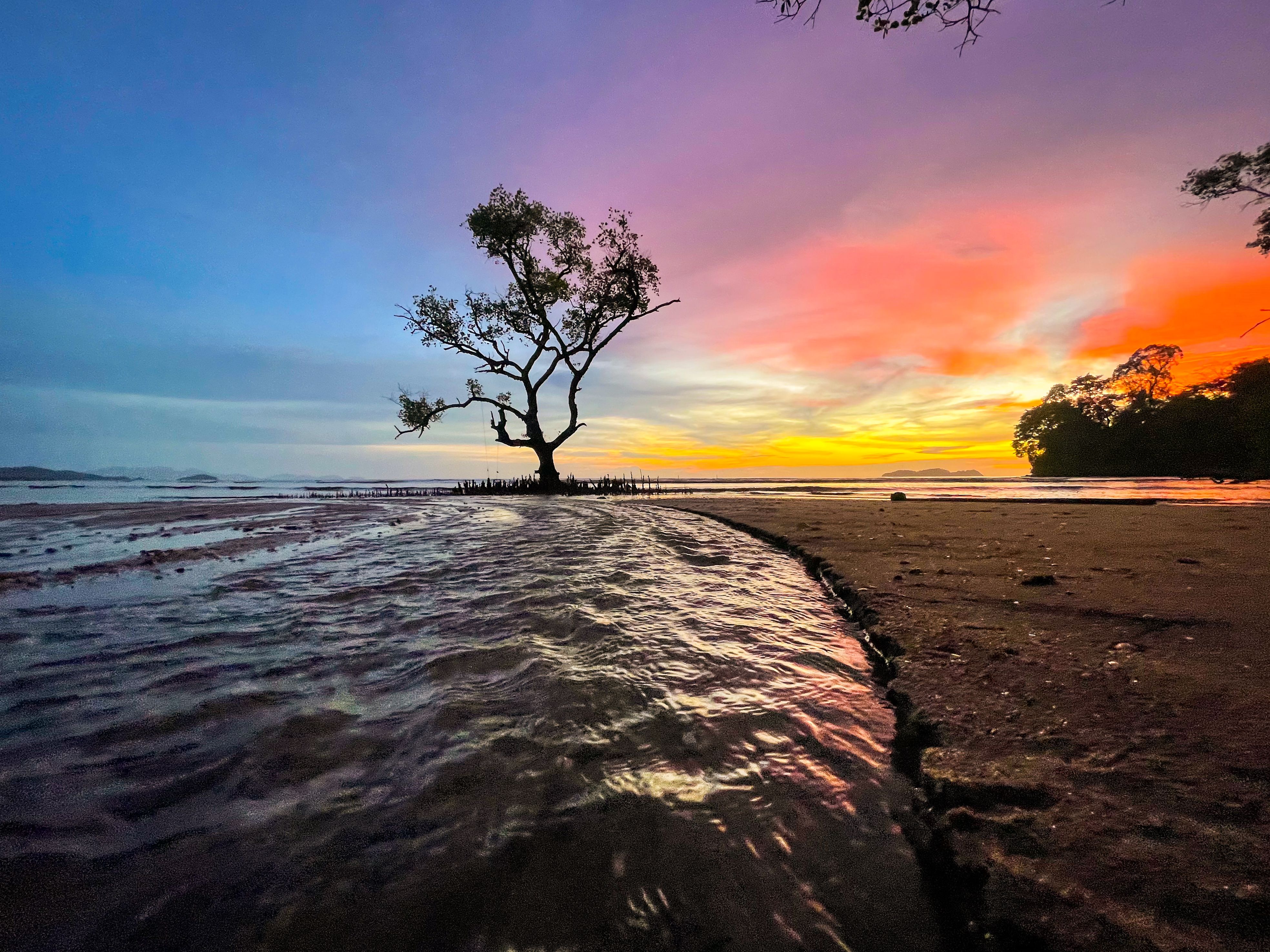 Sunrise view with vibrant colors over a serene beach in Yan, Kedah, featuring a solitary tree by the water.