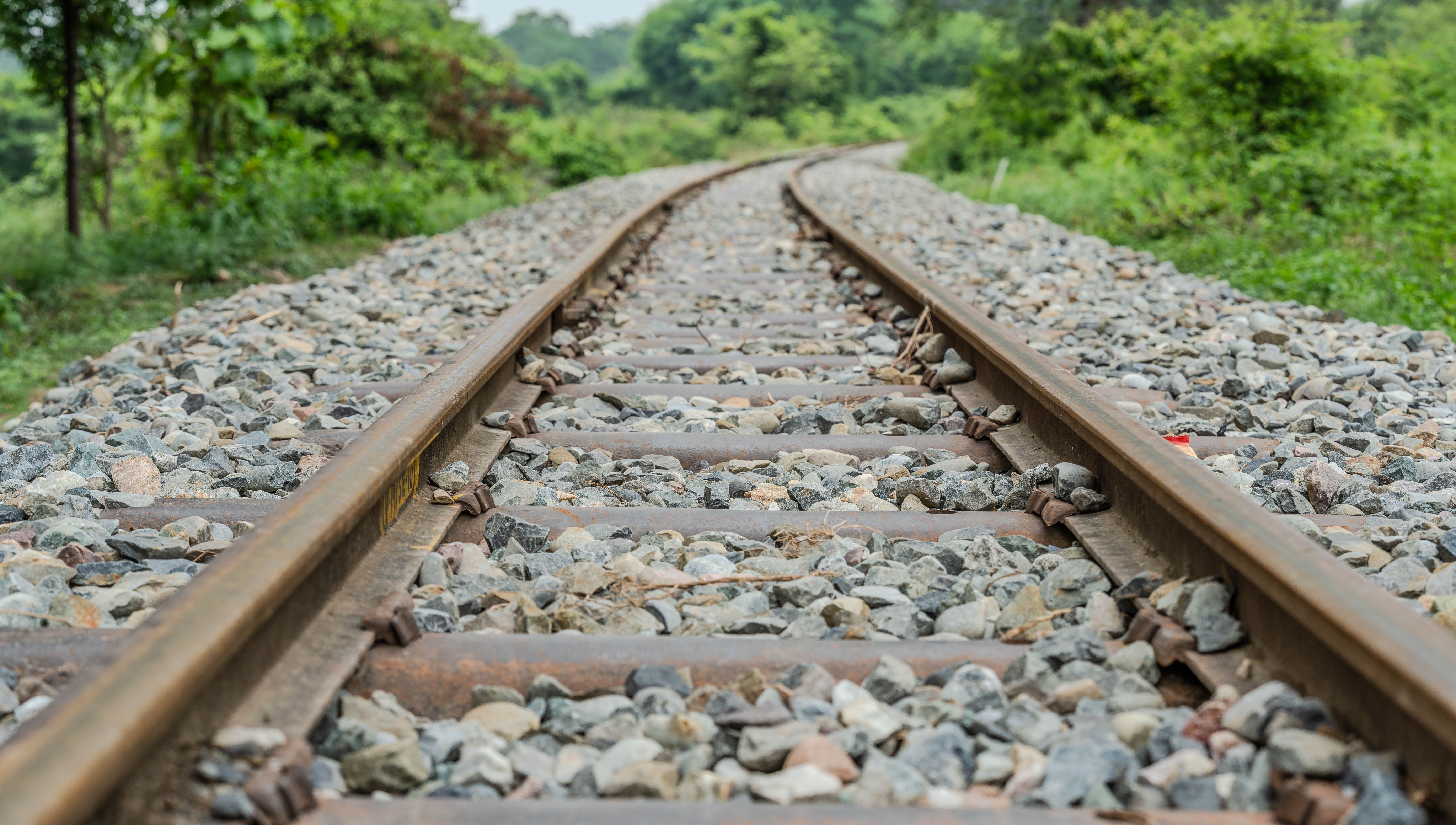 Foto: Rajesh S  Balouria / Pexels