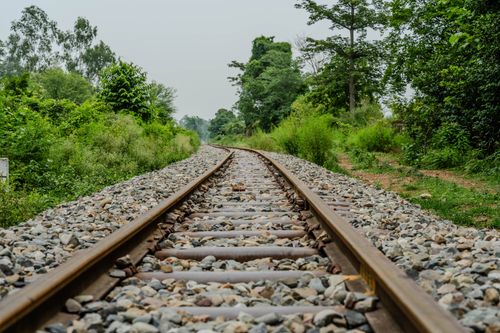 Free Scenic view of railway tracks running through a lush, green forest on a clear day. Stock Photo