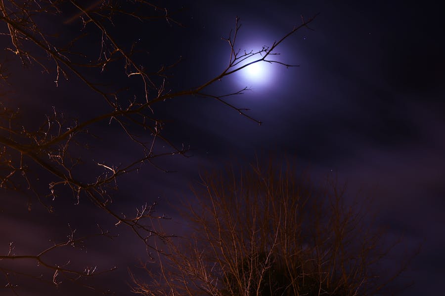 海口化工企业如何用肇新智能文档比对管理安全操作规程版本控制