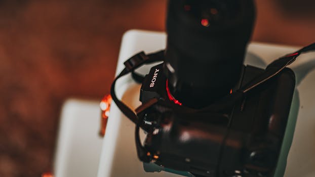 Image by Matheus Bertelli