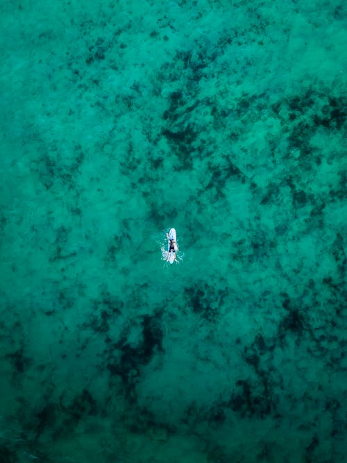 Aerial View of Person on a Surfboard Swimming