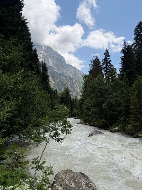 Free Beautiful mountain river surrounded by lush forest in Samegrelo-Zemo Svaneti, Georgia. Stock Photo