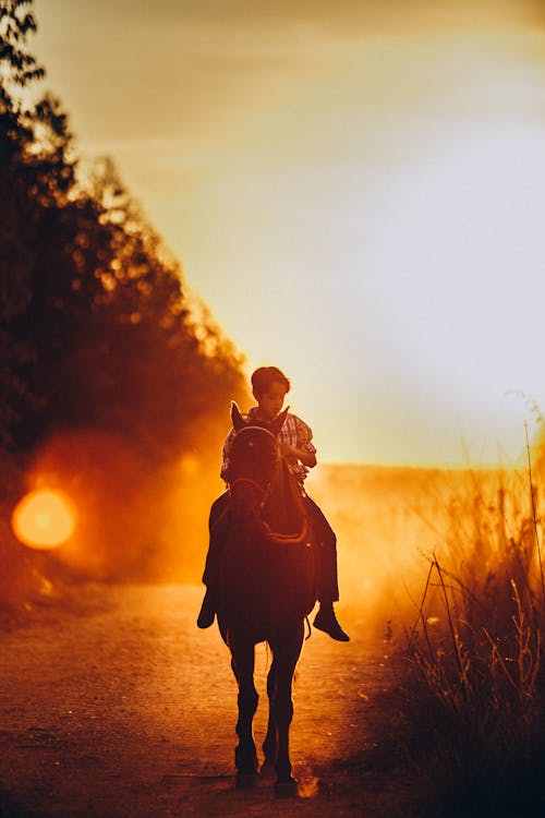 Junge, Der Pferd Während Des Sonnenuntergangs Reitet