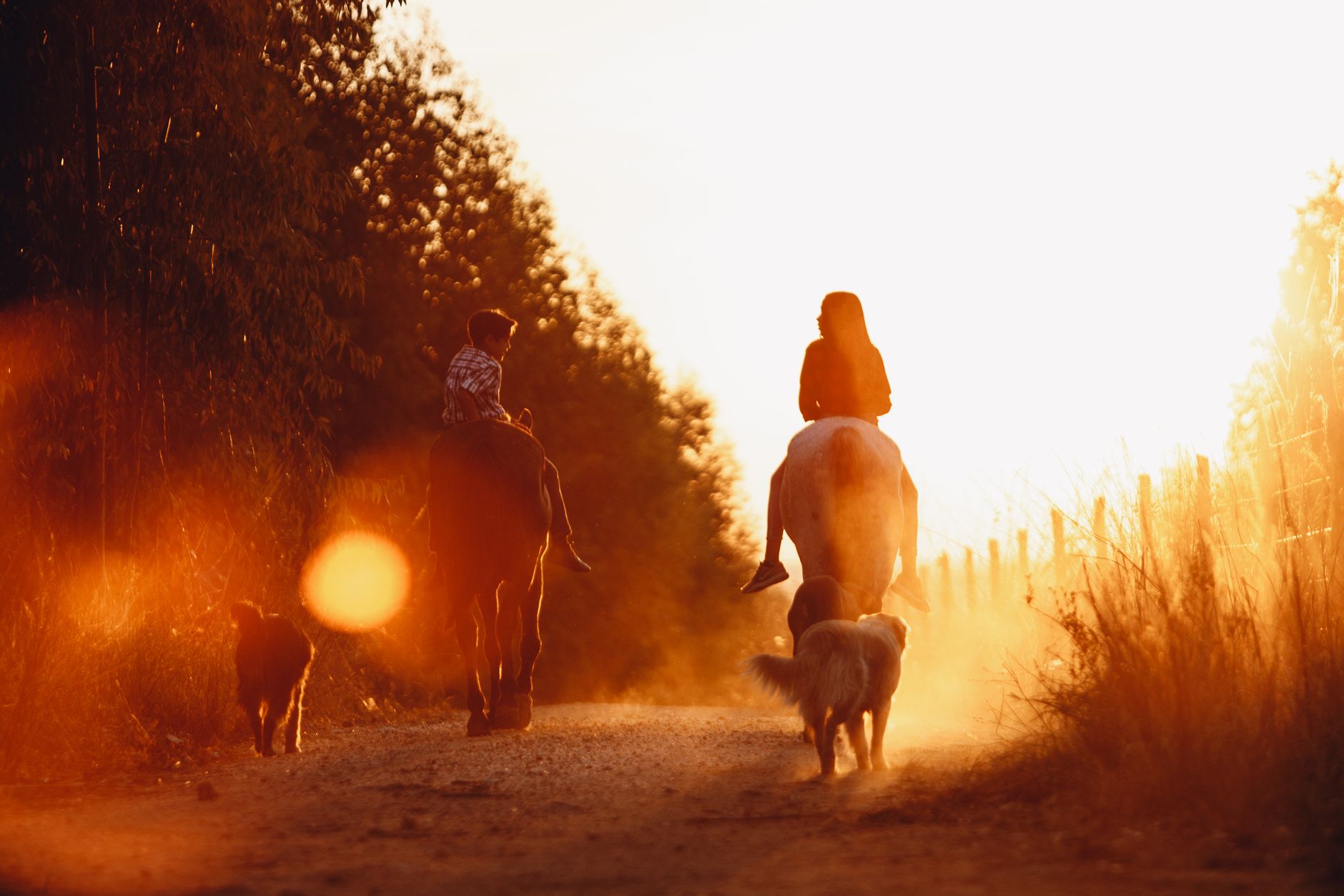 cours d'équitation Parelli pour enfants