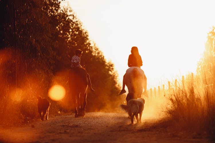 Unrecognizable Kids Riding Horses In Countryside