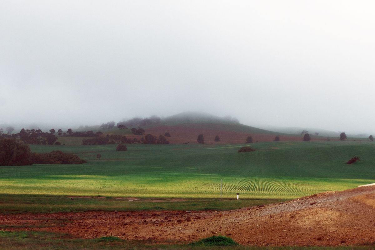 Agricultural fields under a wide sky in regional Australia