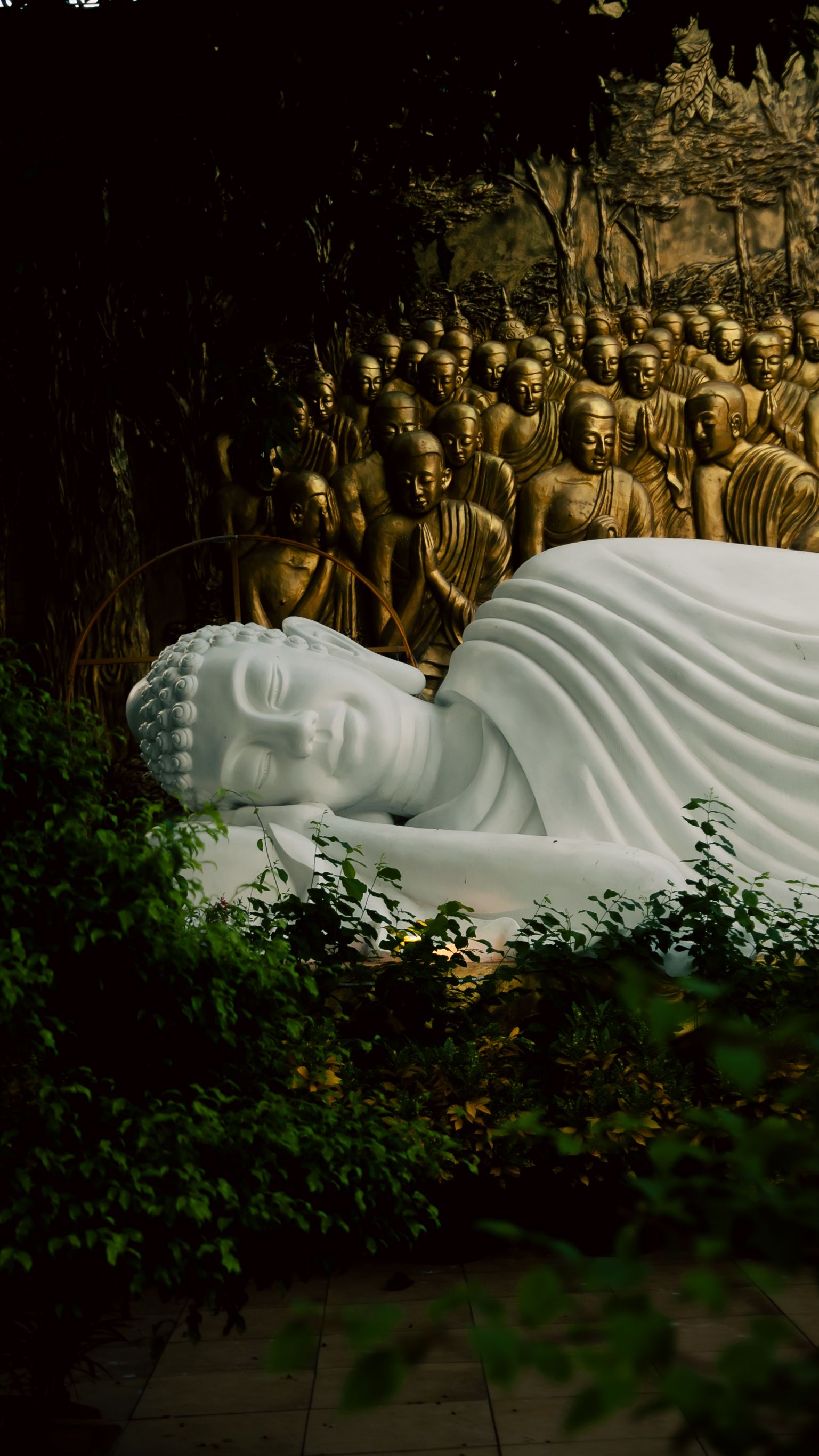 Reclining Buddha statue amidst lush greenery in Đồng Nai, Vietnam, captured in tranquil setting.