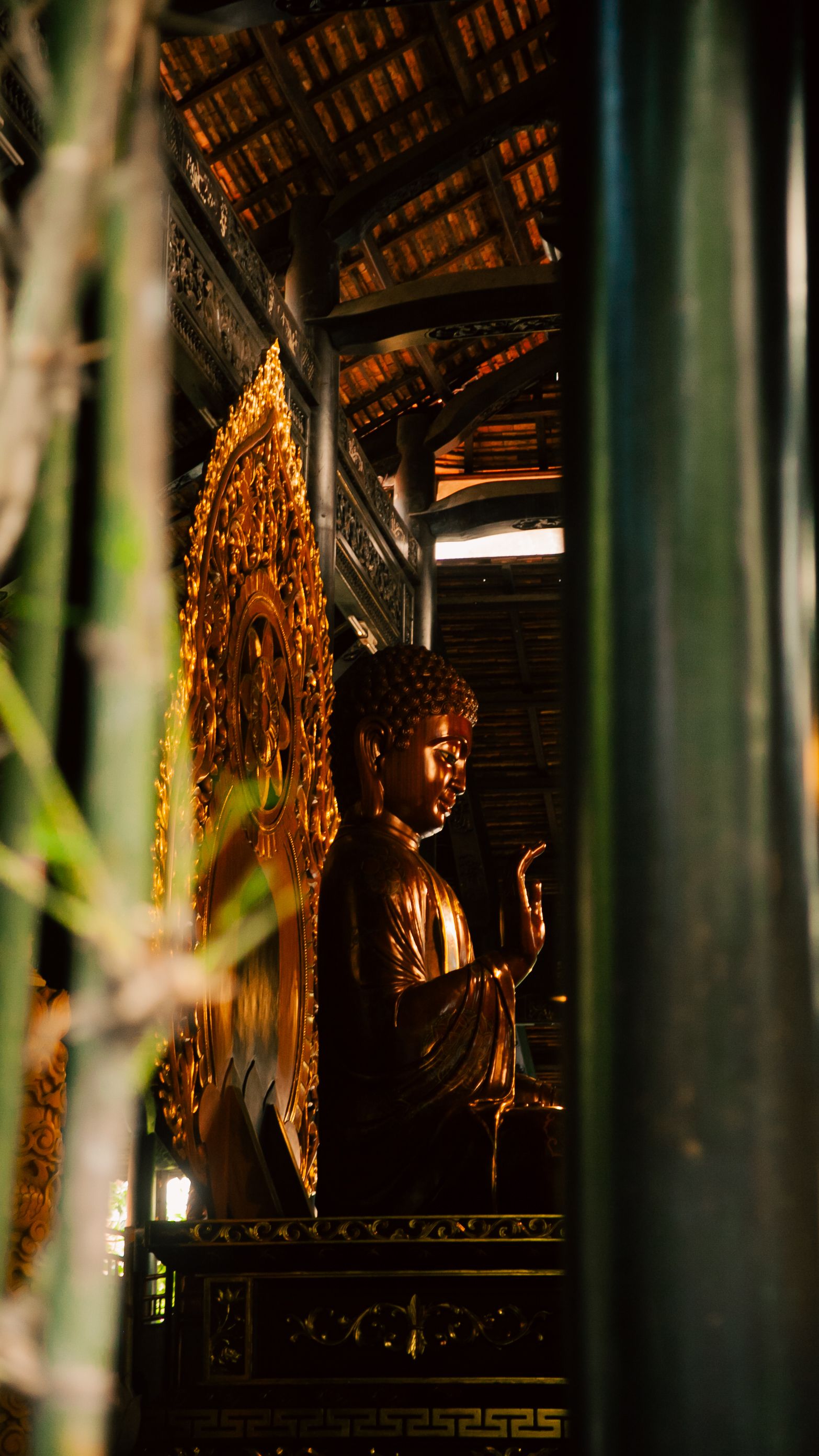 A golden Buddha statue inside a traditional Vietnamese temple, surrounded by bamboo.