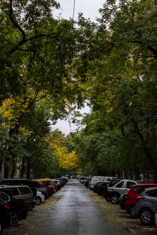 Free Tranquil street in Budapest lined with parked cars and autumnal trees. Stock Photo