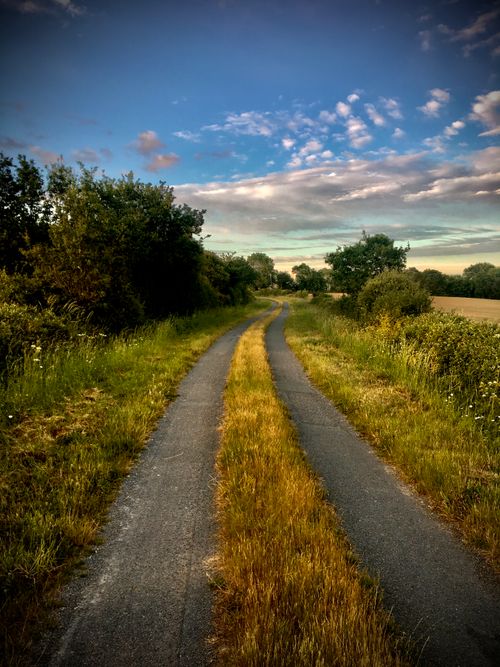 Free Sunset view of a country road in La Garnache, France, surrounded by lush greenery. Stock Photo