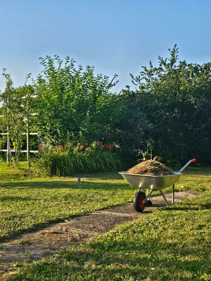 Wheelbarrow filled with soil in a garden